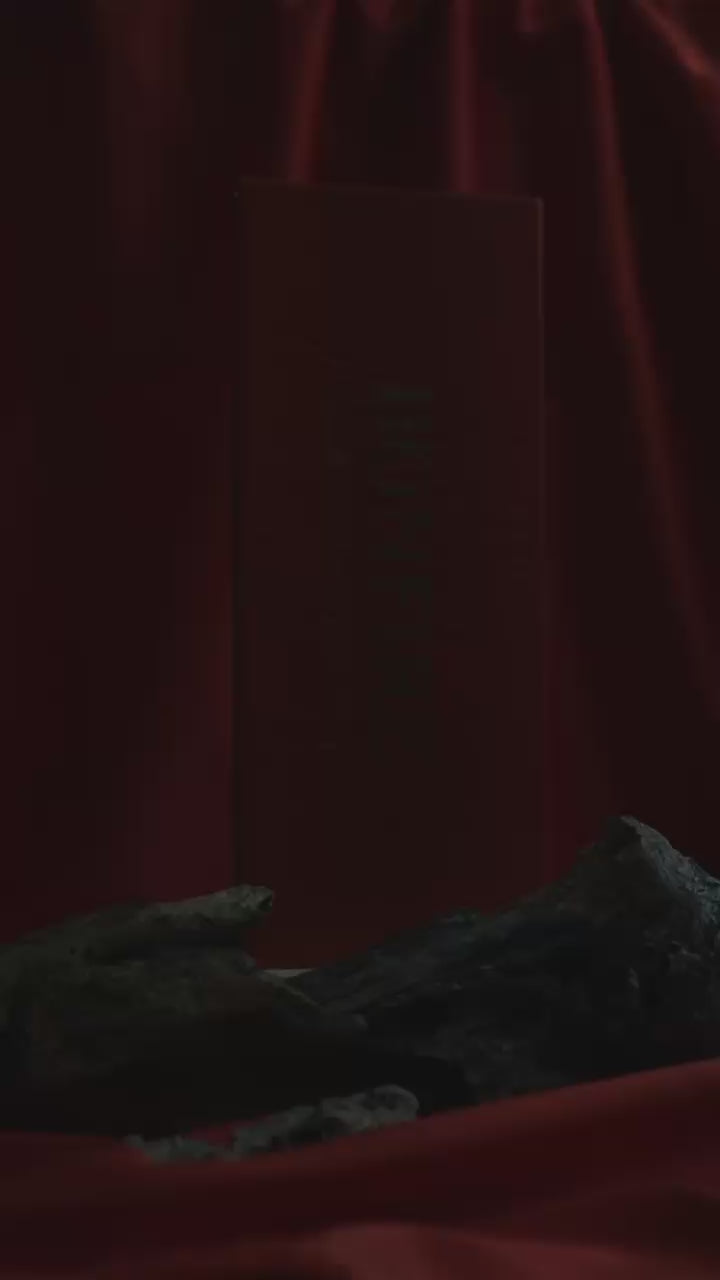 Cargar vídeo: Bonfire Eyeshadow Palette