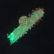 BBB X Noopur Makeup | Single Aurora