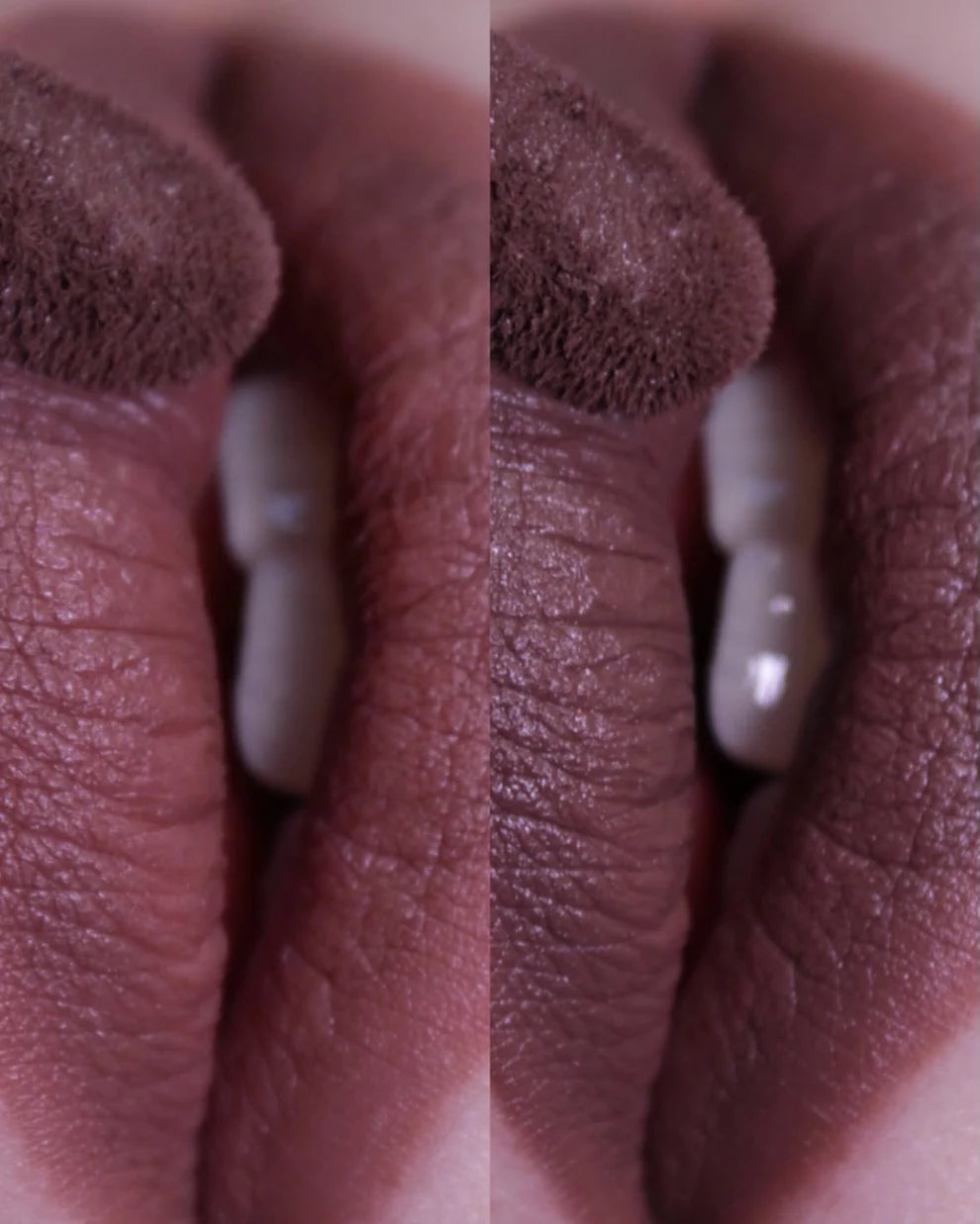 Wasteland x ZYEL Lip Mud - "Scavenger"
