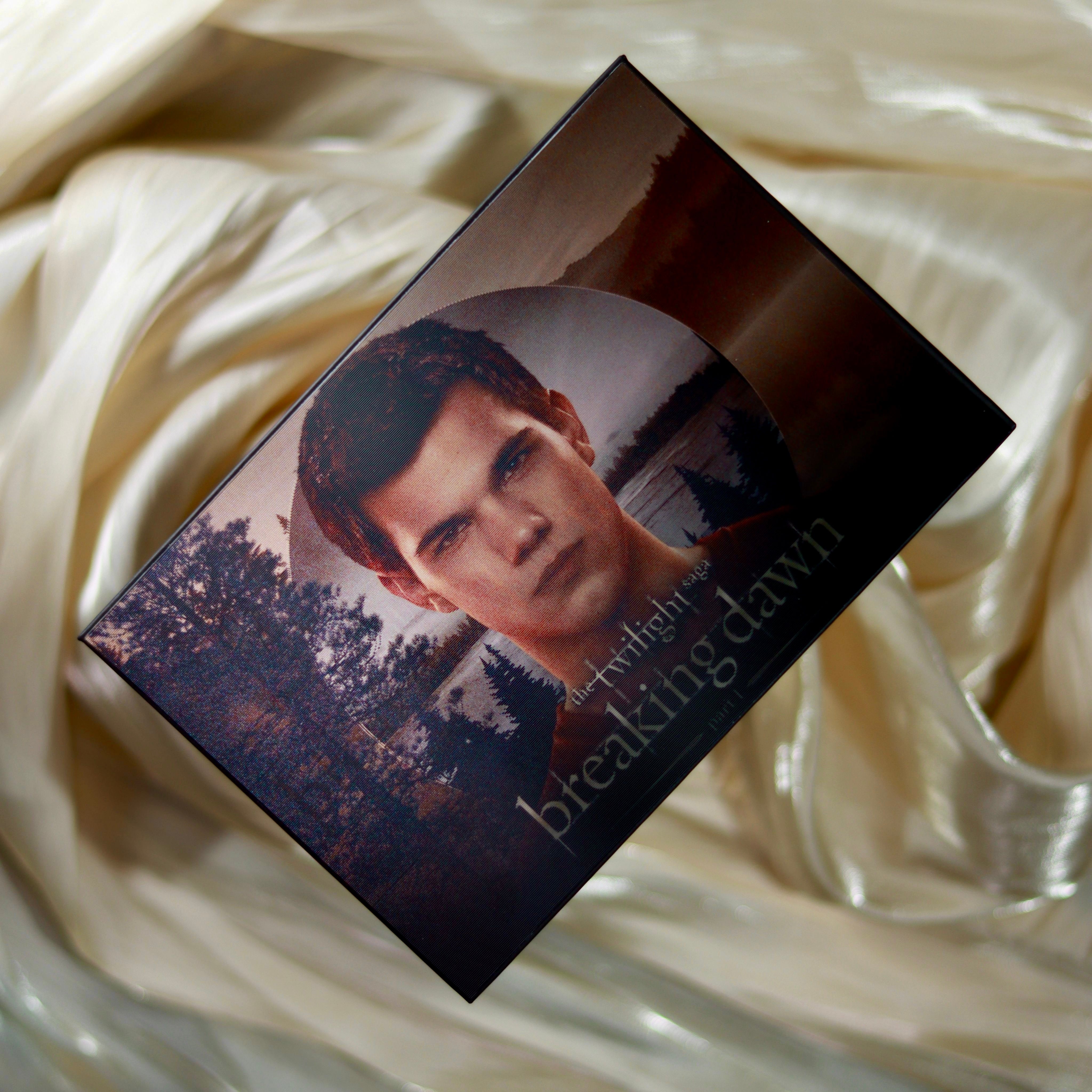 Twilight X Glamlite Team Jacob Palette