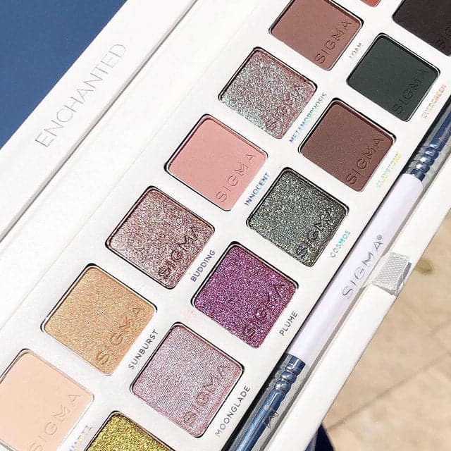 The Enchanted Palette