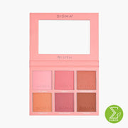 Blush Cheek Palette
