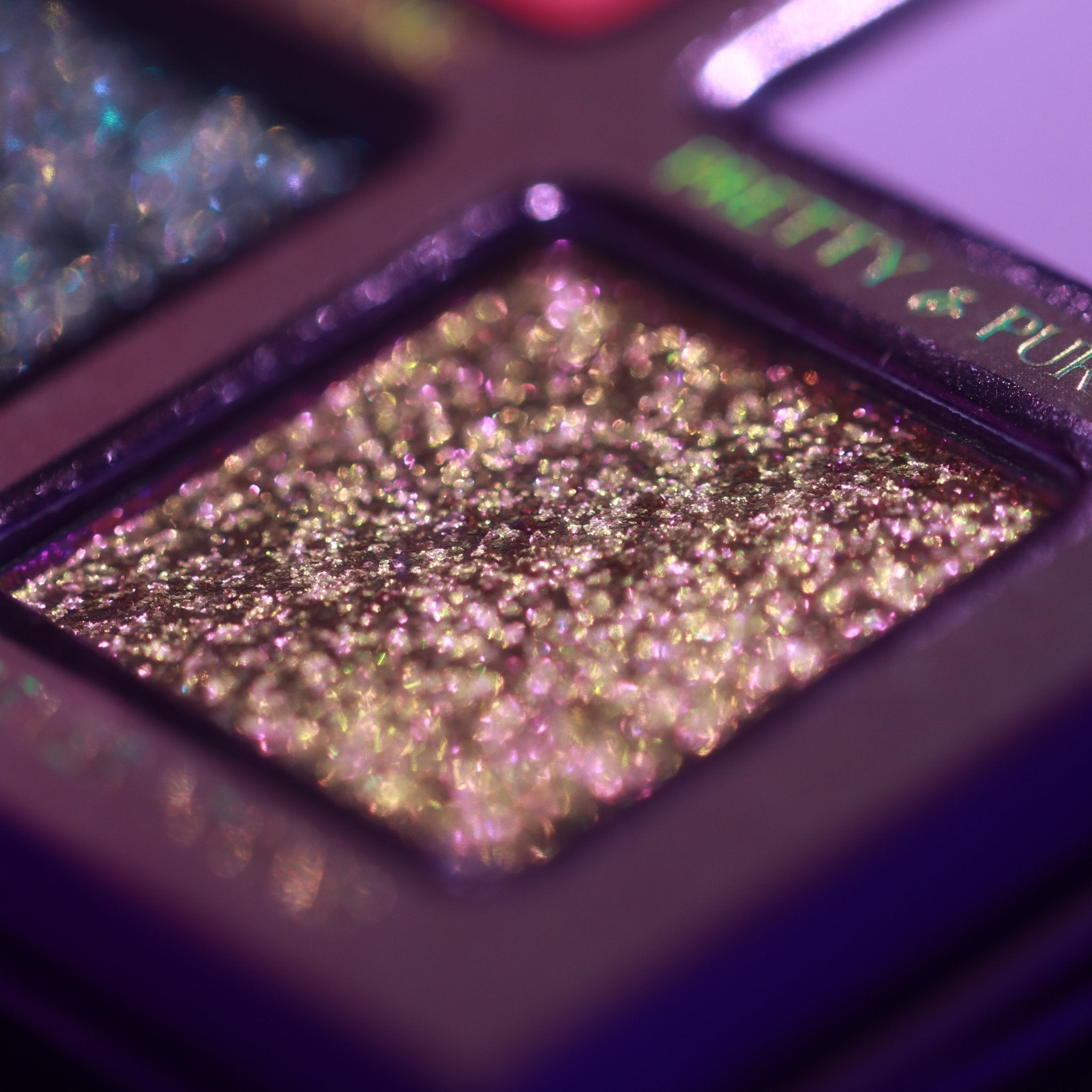 Siempre Viva Palette