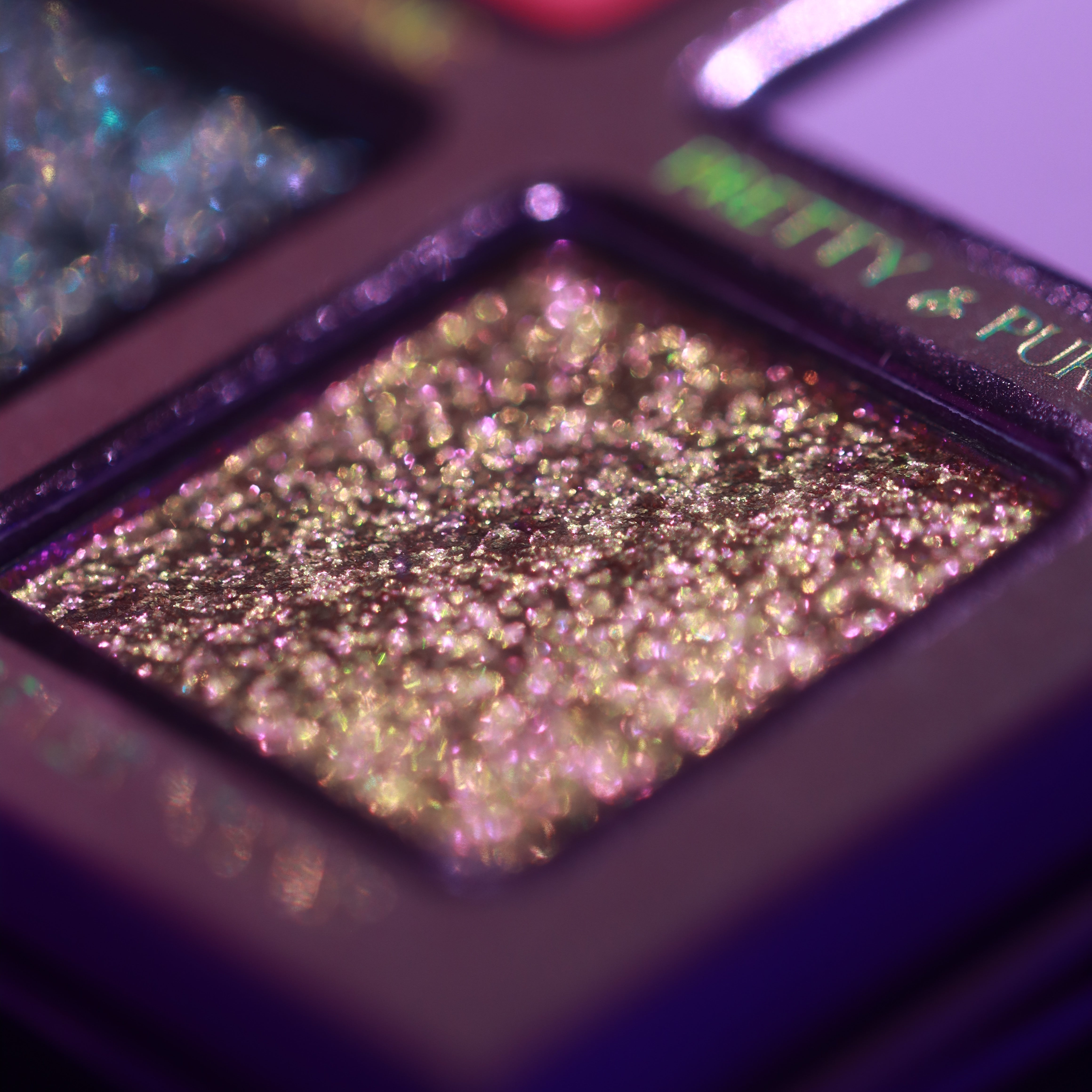 Palette Siempre Viva