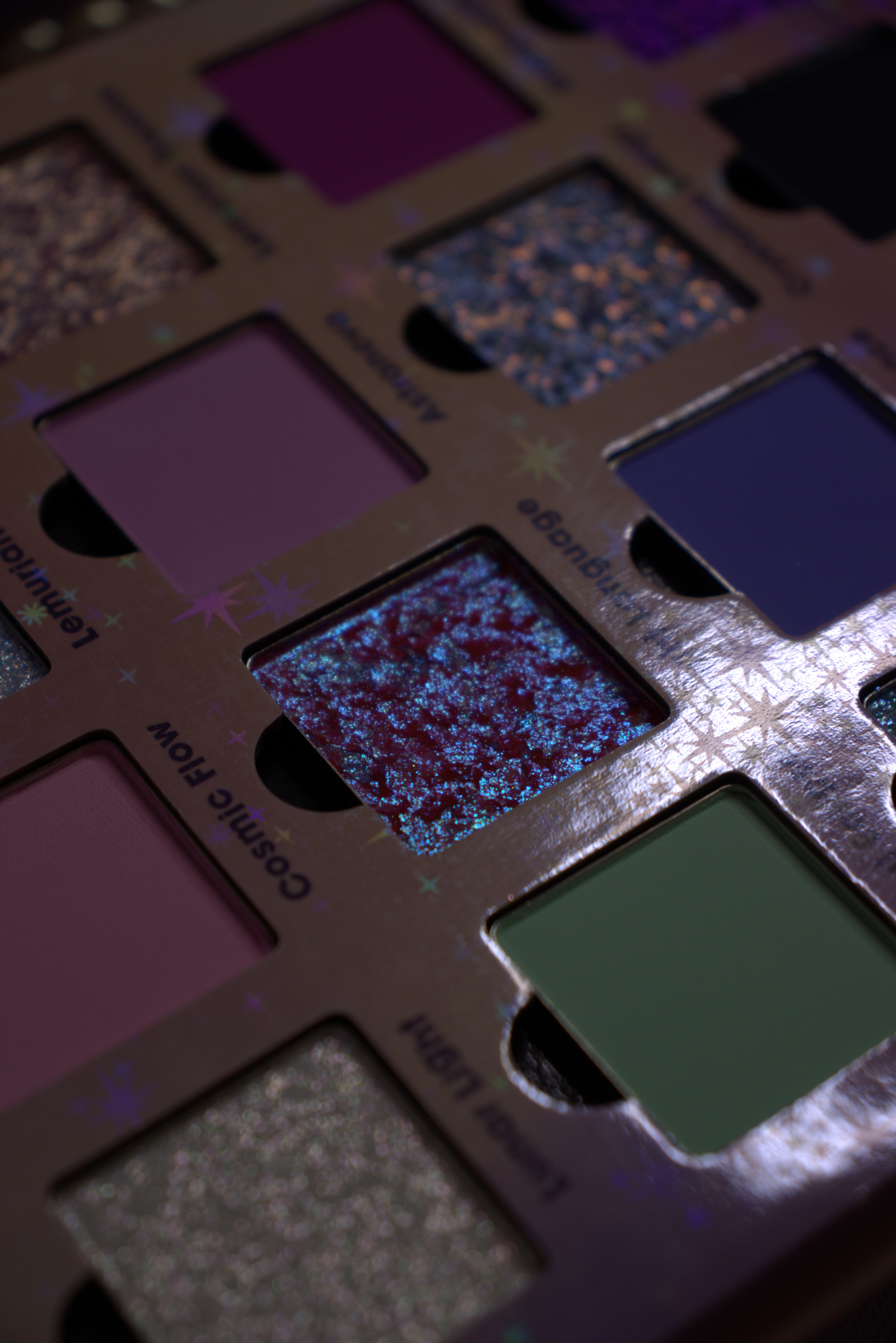 Terres d'enchantement | Rêves lémuriens