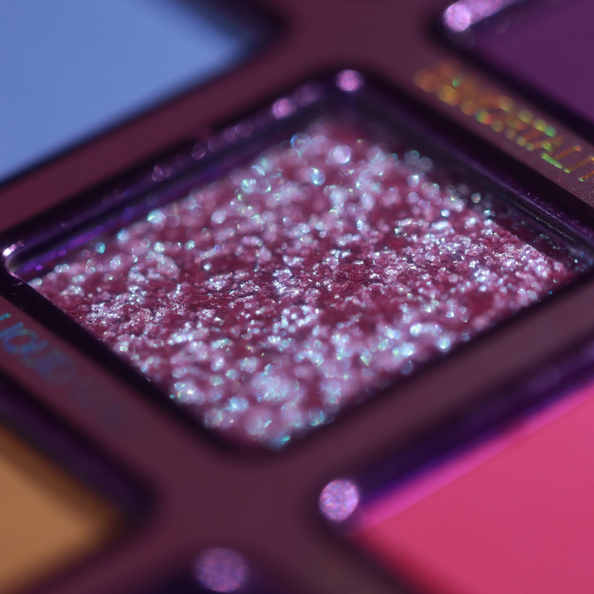 Siempre Viva Palette