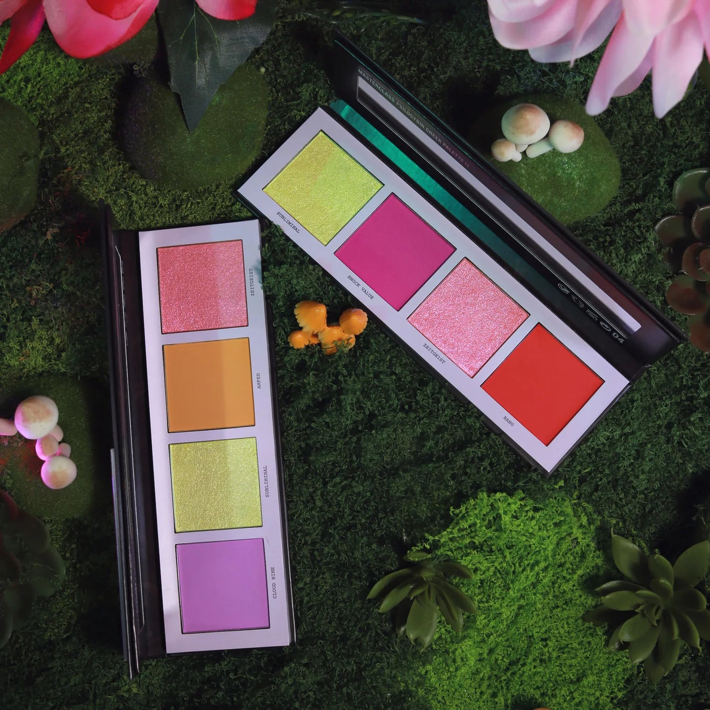 Masterclass Psilocybin Cheek Palette