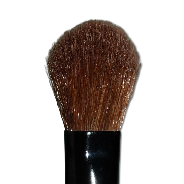 Singe Expansion Eye Brush Set
