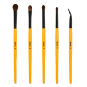 Singe Expansion Eye Brush Set