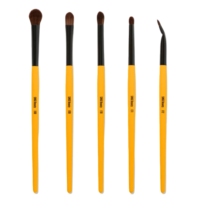 Singe Expansion Eye Brush Set