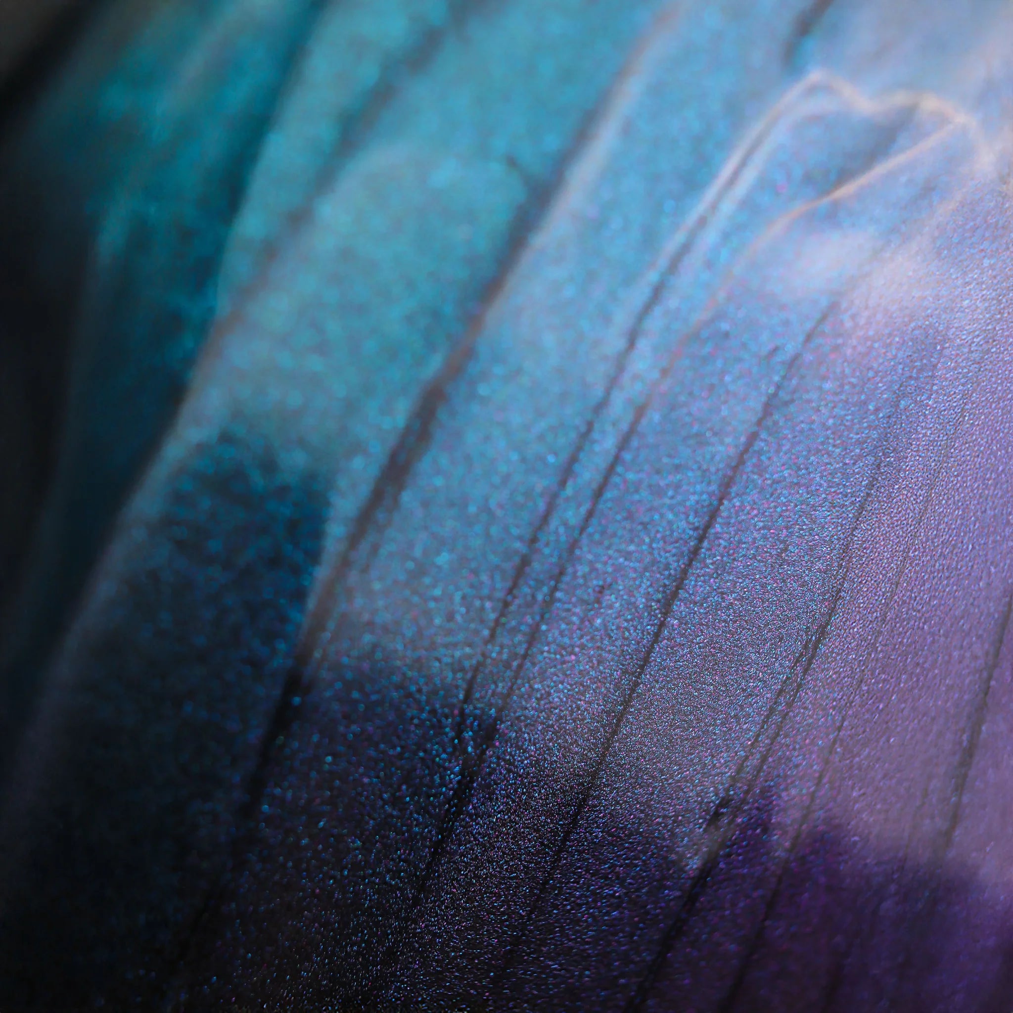 MEI PANG X Blend Bunny Blue Tears Lip Glaze