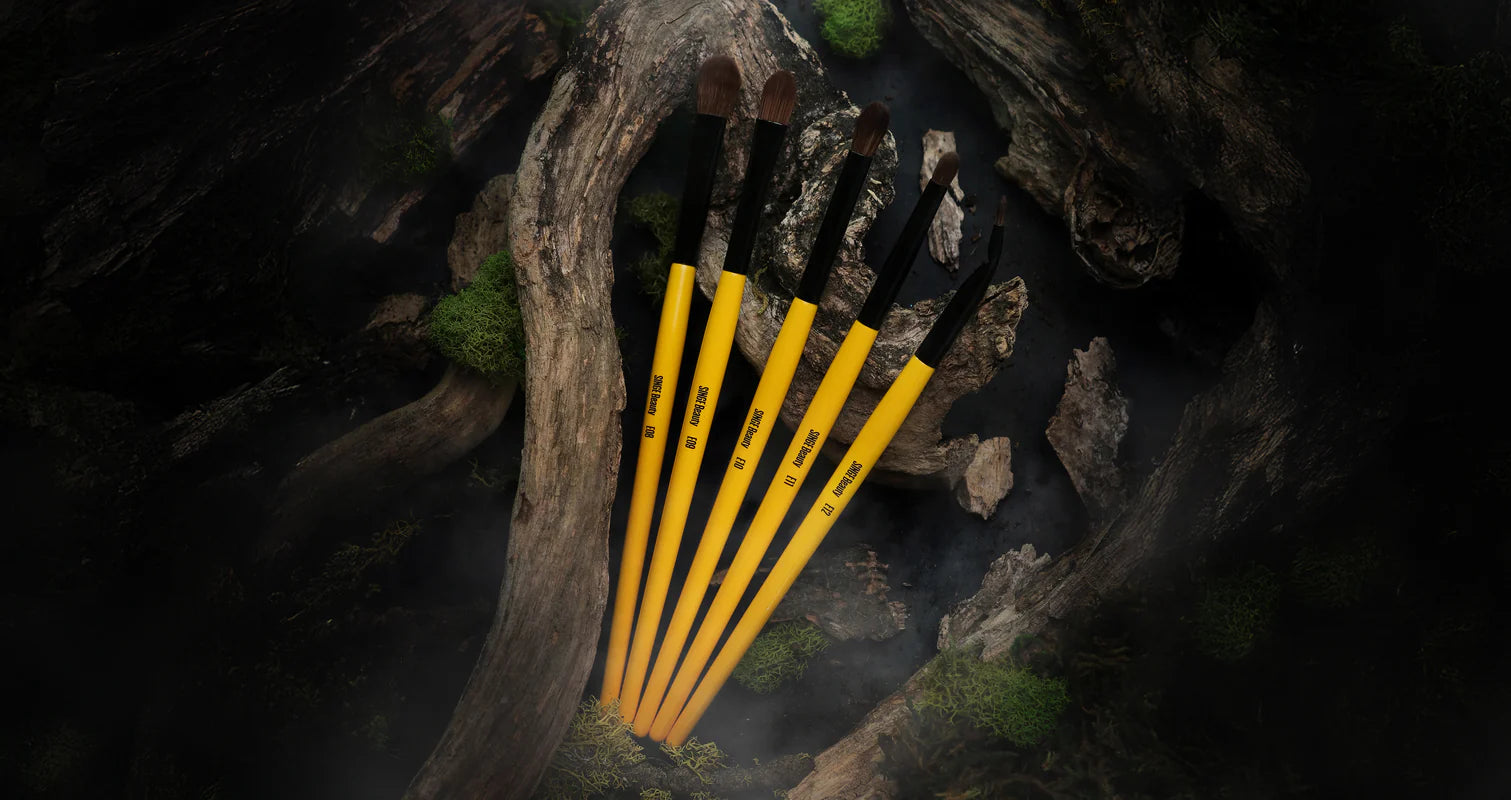 Singe Expansion Eye Brush Set
