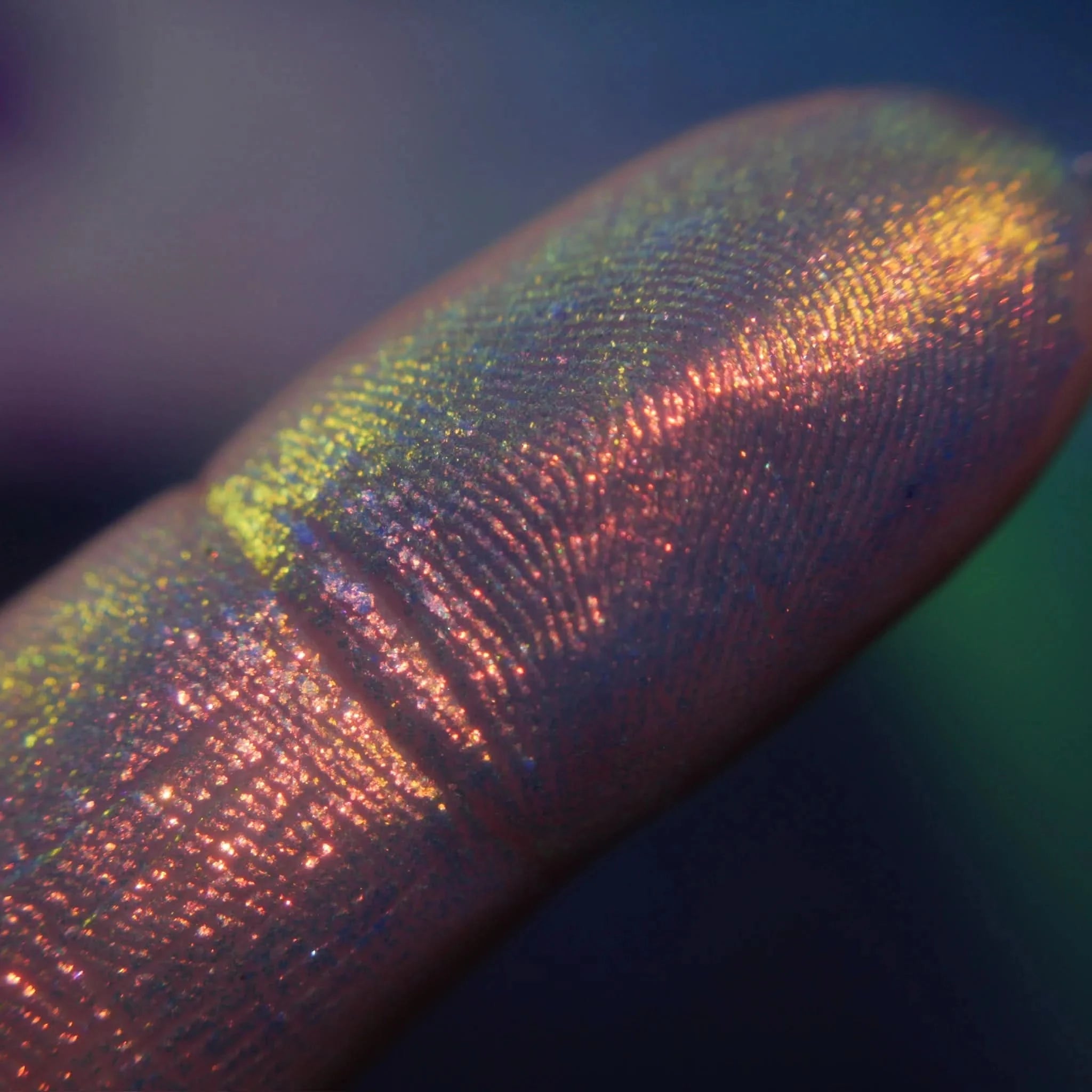 Stray Cat Single Shade