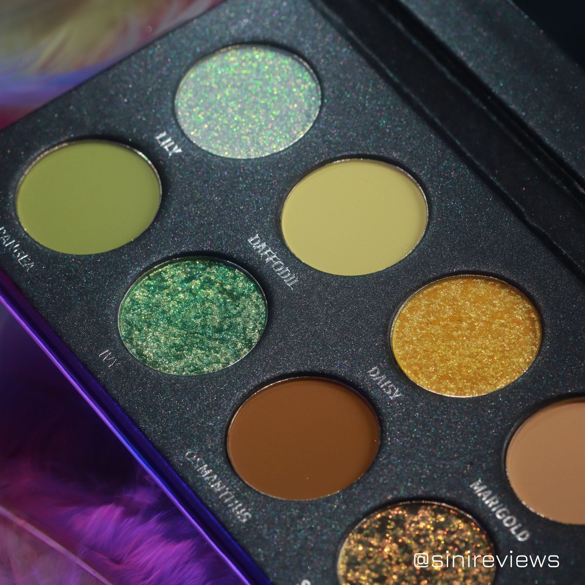 Secret Garden I Eyeshadow Palette