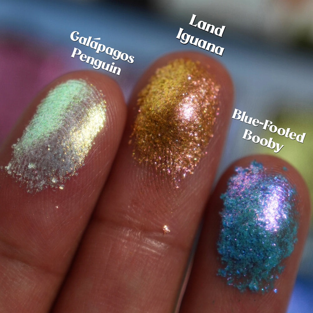 Three finger tip swatches of Galápagos Penguin, Land Iguana and Blue-footed Booby shadows on medium skin tone.