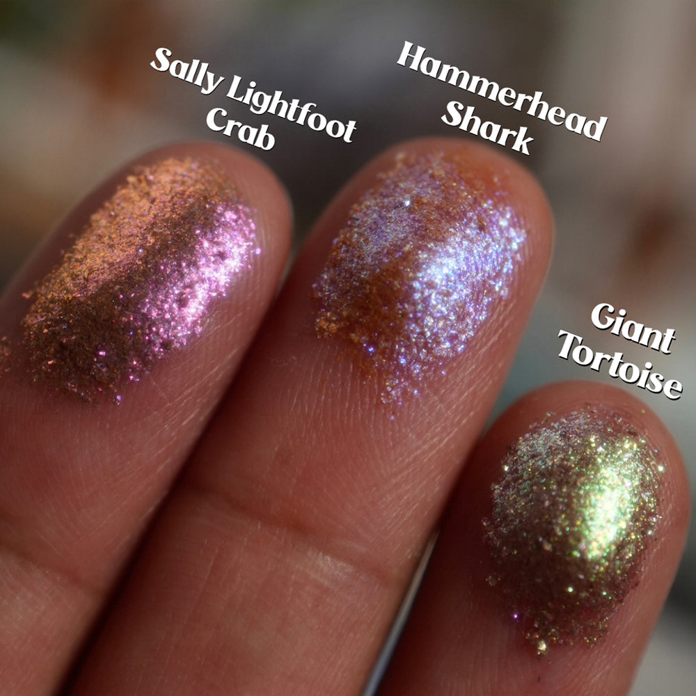 Three finger tip swatches of Sally Lightfoot Crab, Hammerhead Shark and Giant Tortoise shadows on medium skin tone.