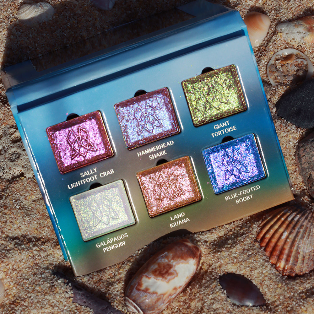 Galápagos Palette propped open displaying shadows with a beach, sand and shells in the background.