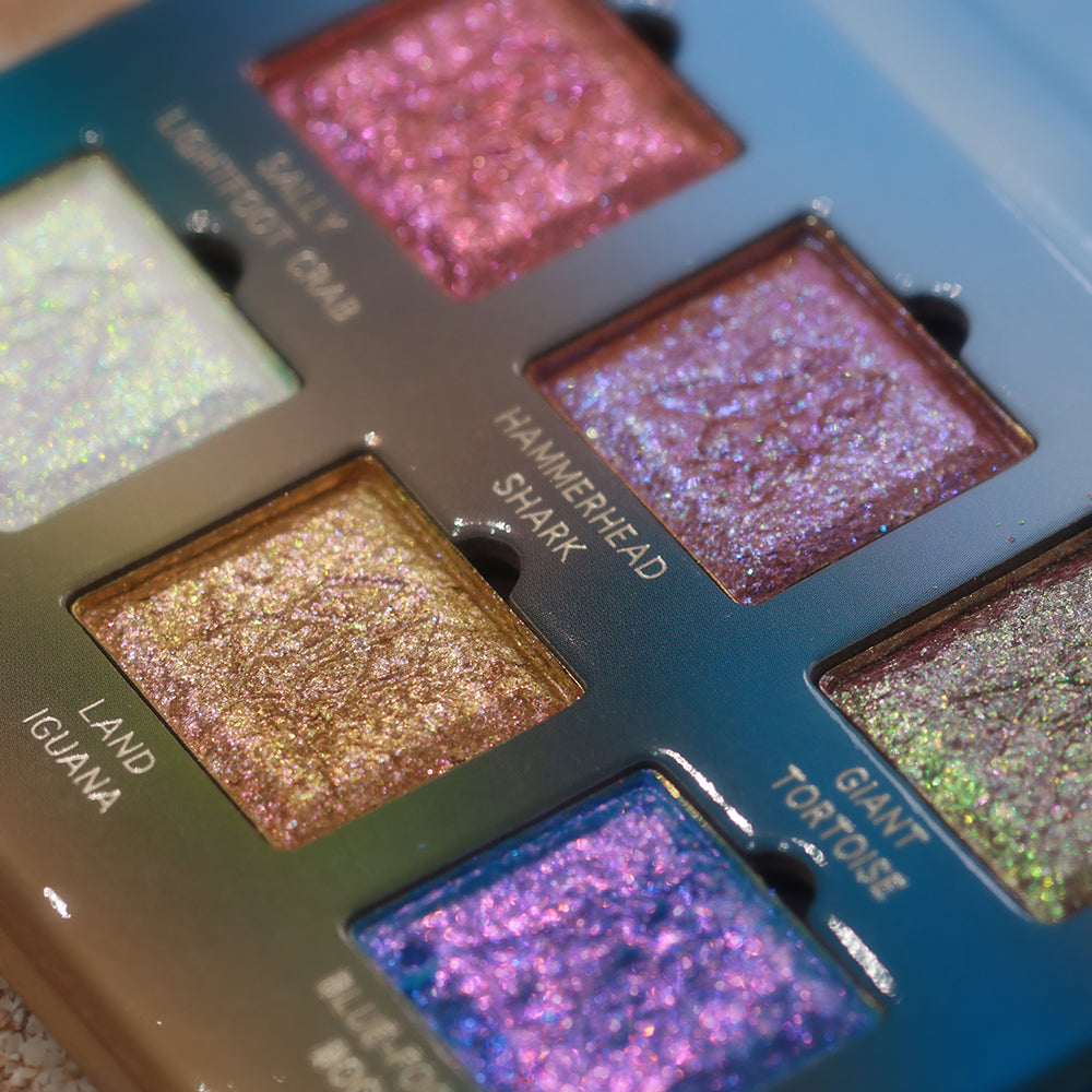 Angled close-up of shadows in the Galápagos Palette.