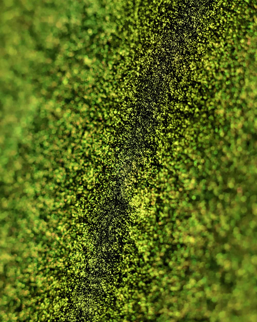 NEVERLAND ORIGINAL MULTICHROME LOOSE EYESHADOW