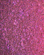 Multichrome Opal Eyeshadows - Skylight