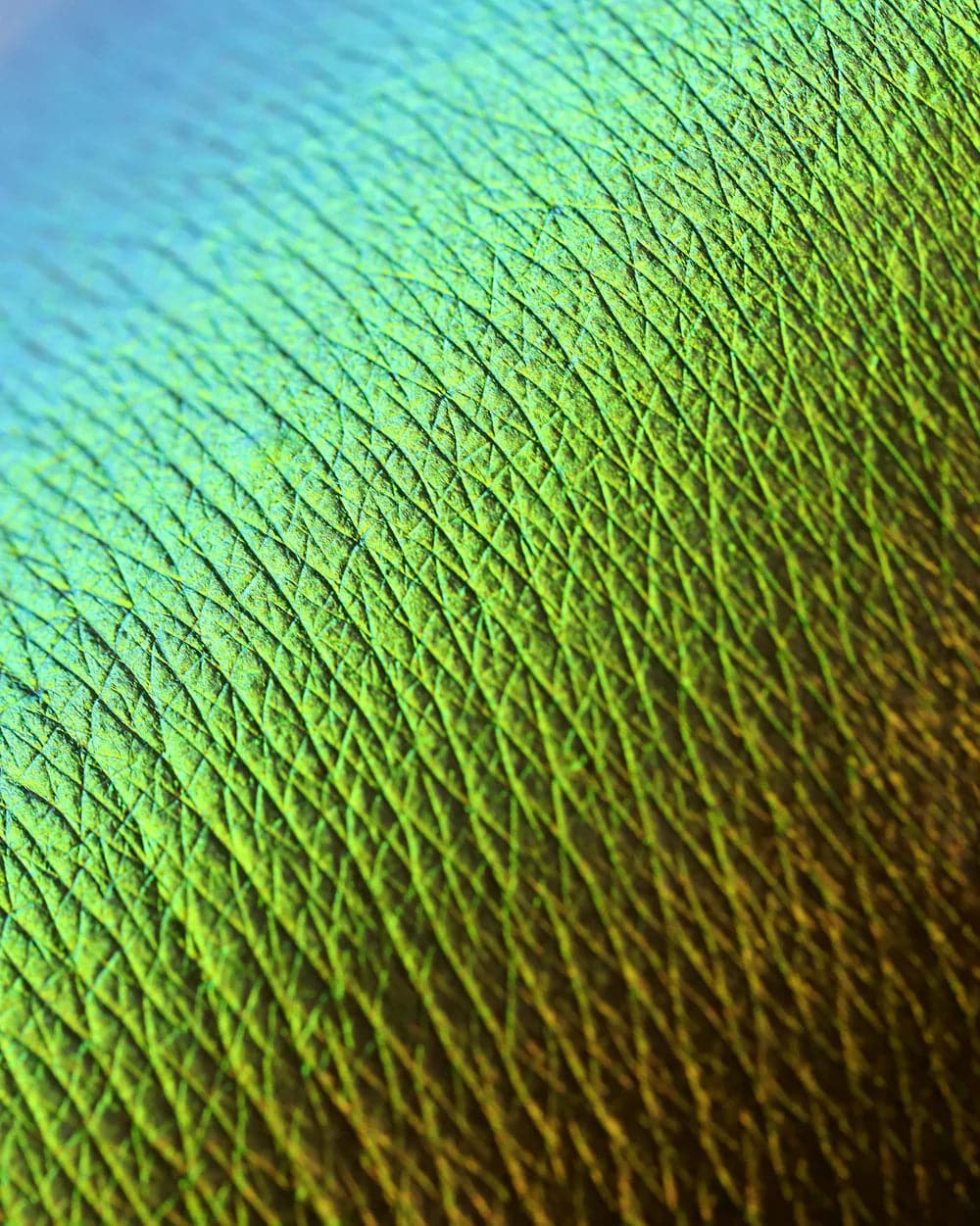 NEVERLAND ORIGINAL MULTICHROME LOOSE EYESHADOW