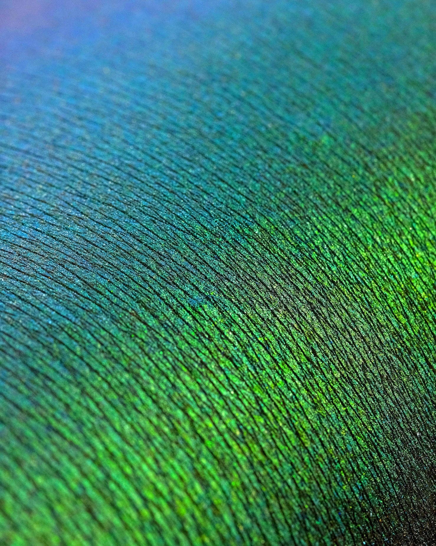 SIESTA ORIGINAL MULTICHROME LOOSE EYESHADOW