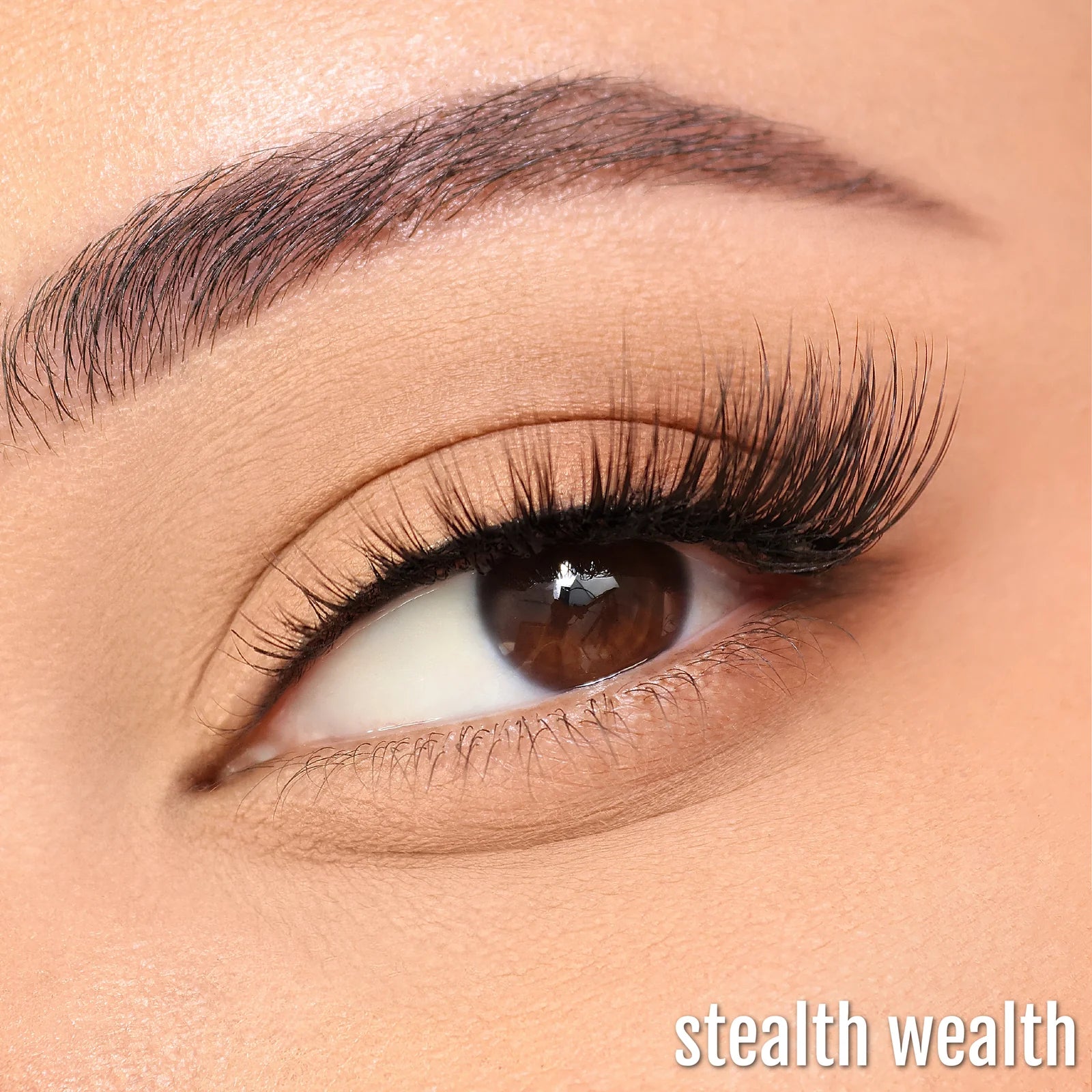 Half Lash Collection Box