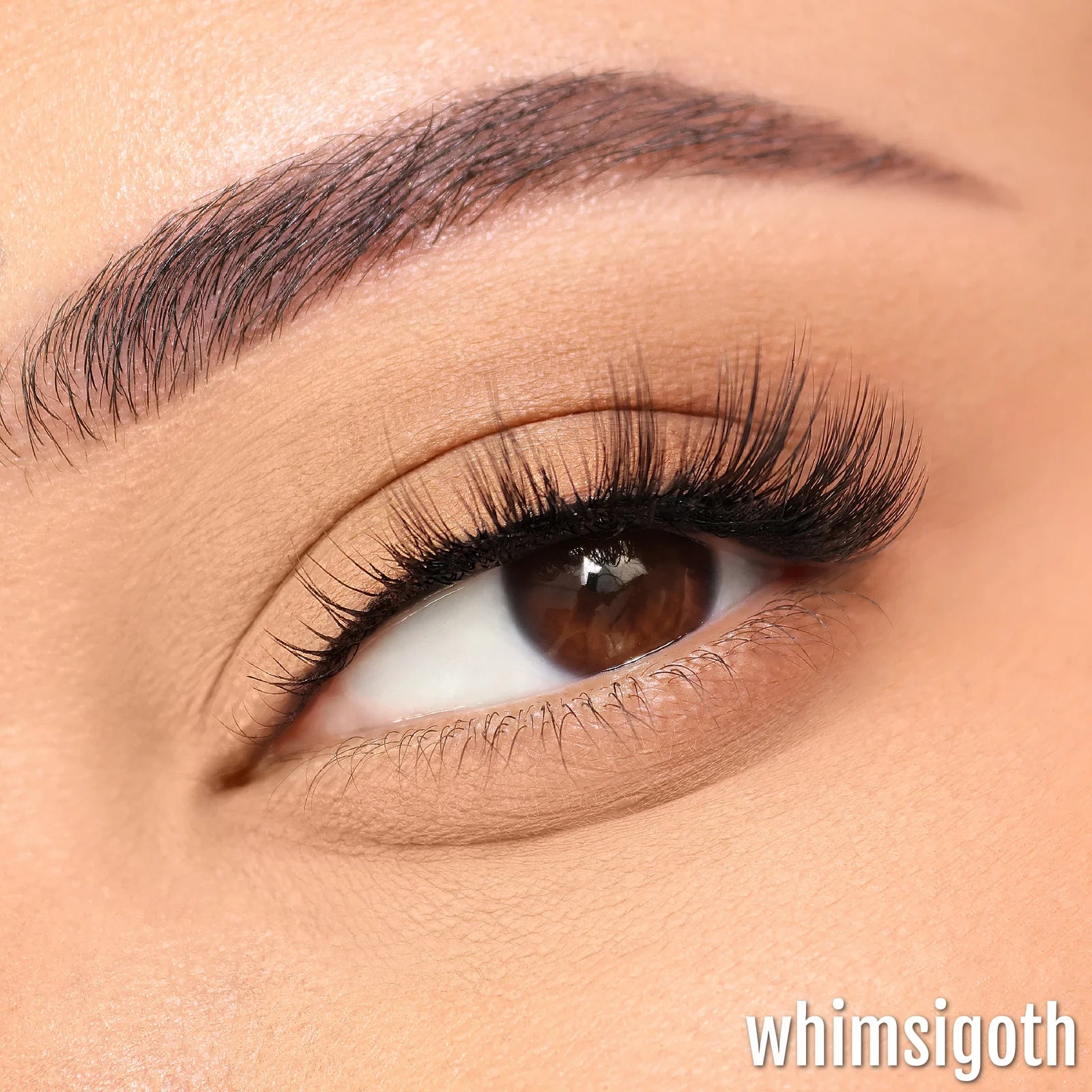 Half Lash Collection Box