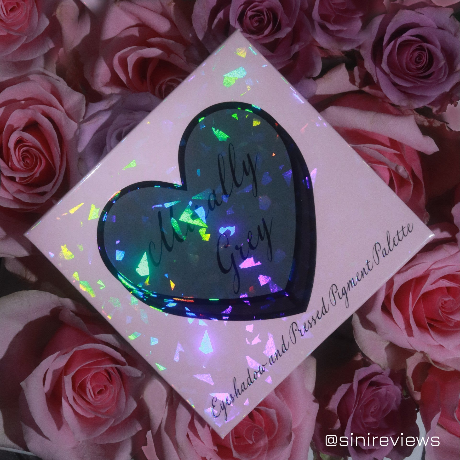 Morally Grey Palette